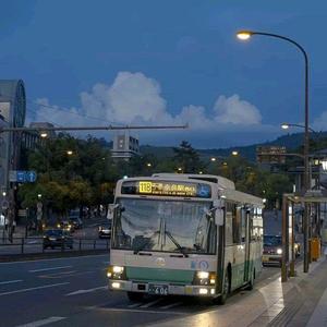 小苮儿喊麦列表播放
